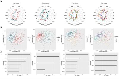 Cluster and network analysis of non-headache symptoms in migraine patients reveals distinct subgroups based on onset age and vestibular-cochlear symptom interconnection